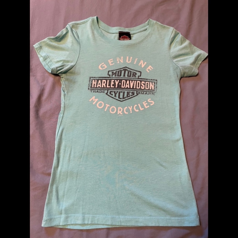 Harley Davidson Baby Blue Tee Small